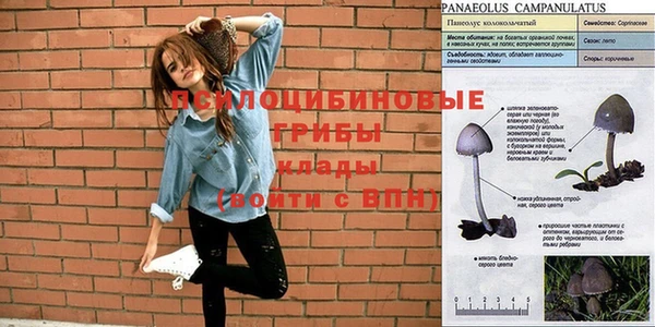 мяу мяу мука Зеленодольск