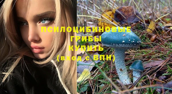мяу мяу мука Зеленодольск